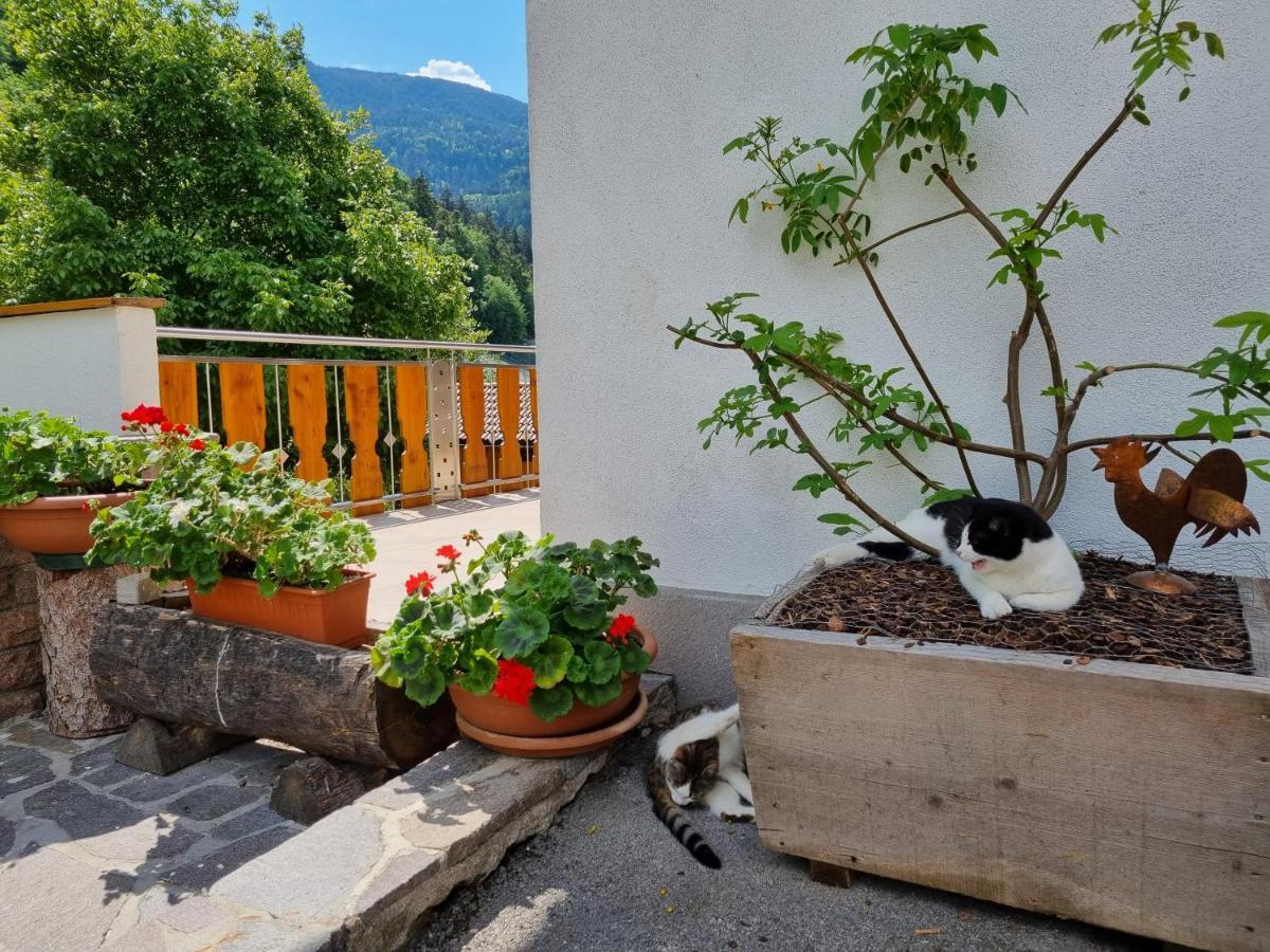 Ferienwohnungen Koflerhof Castelrotto Luaran gambar